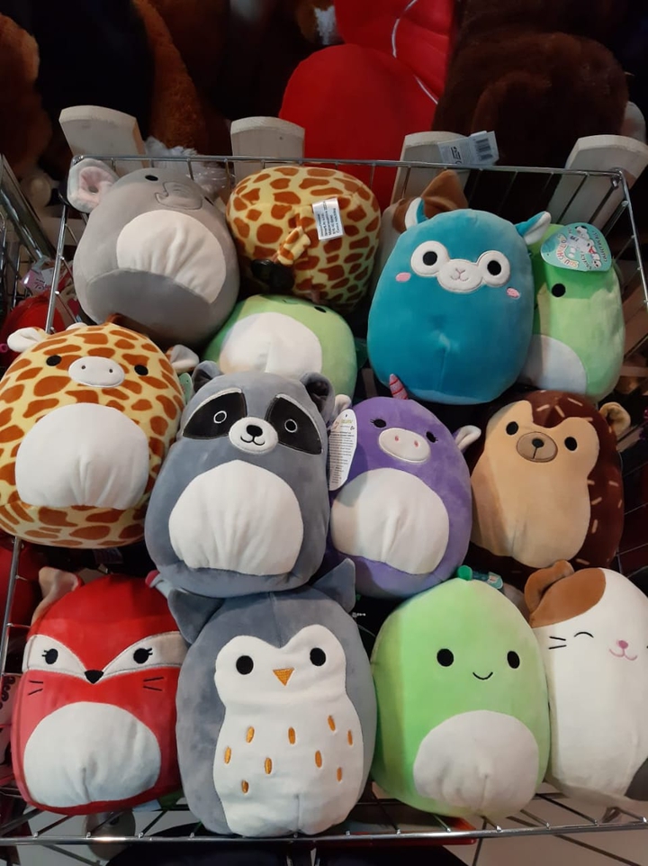 игрунки