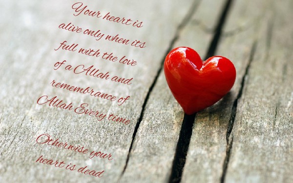 Heart