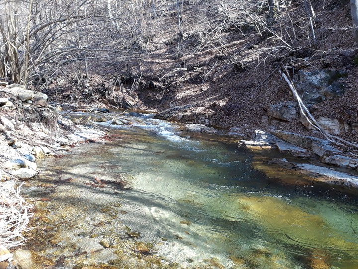 Fiume2