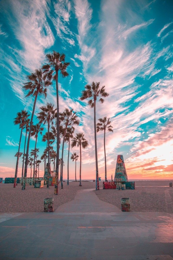 Sea Beach