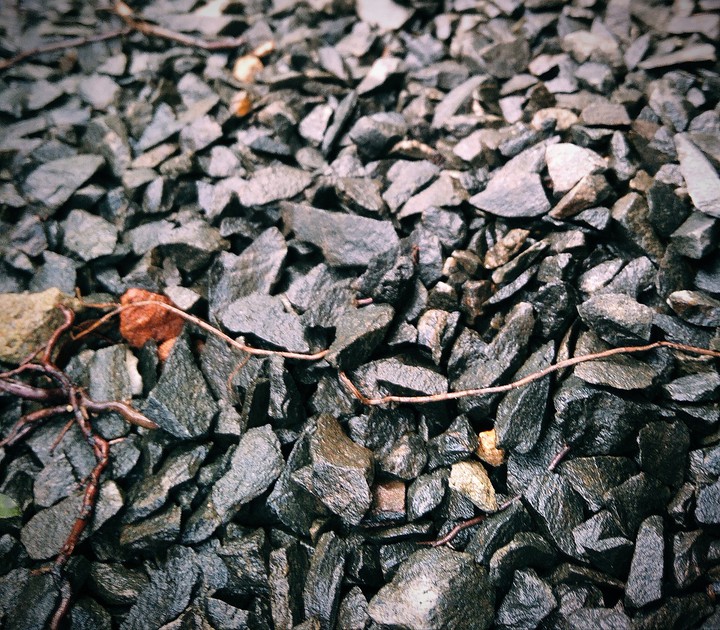 Rocks