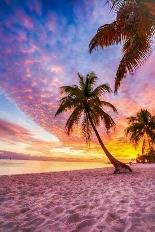 Playas