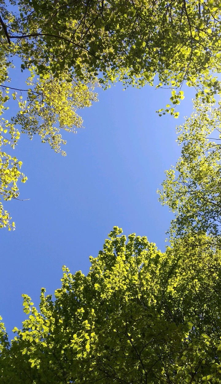 Blue Sky like a postcard