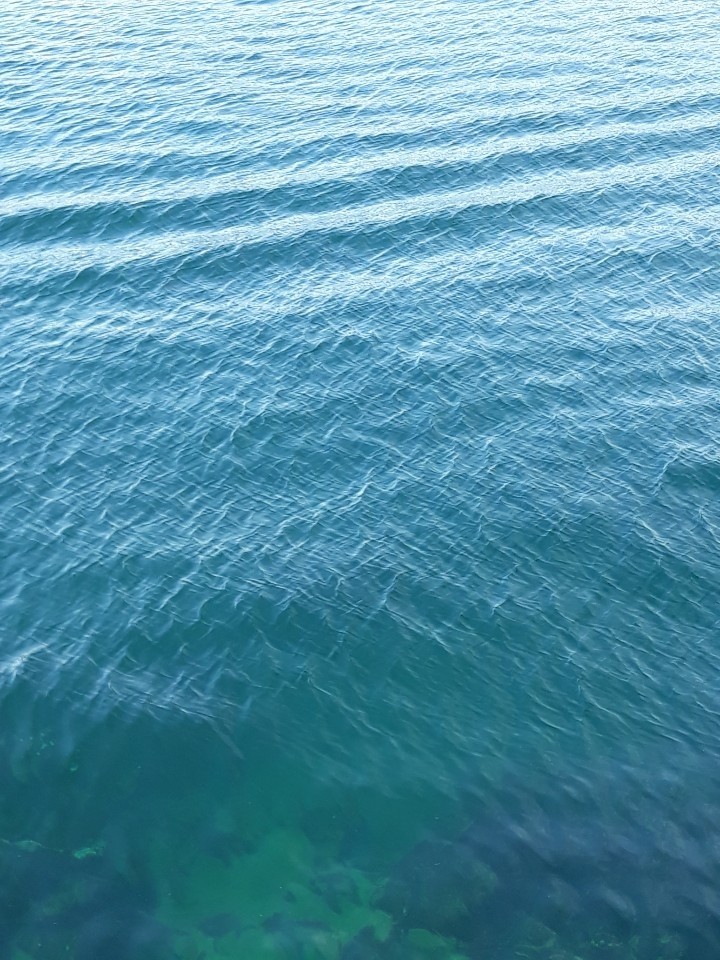 바다에 아침