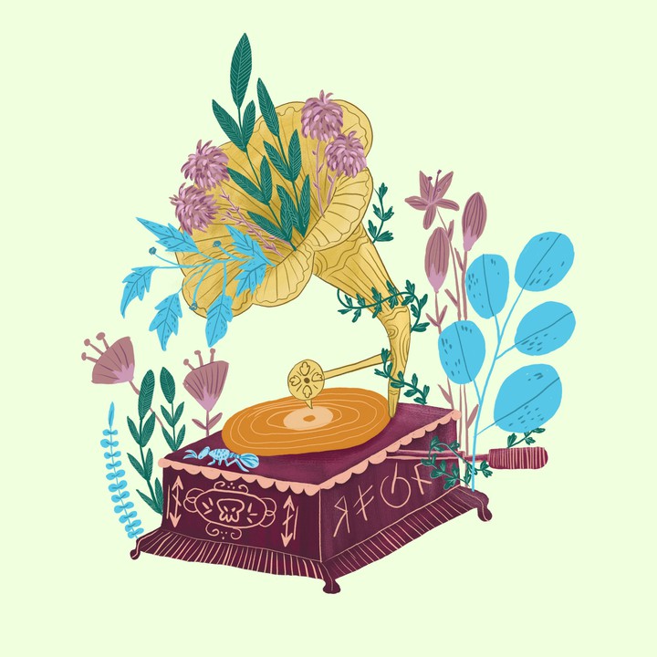 Gramophone vinyl with flowers