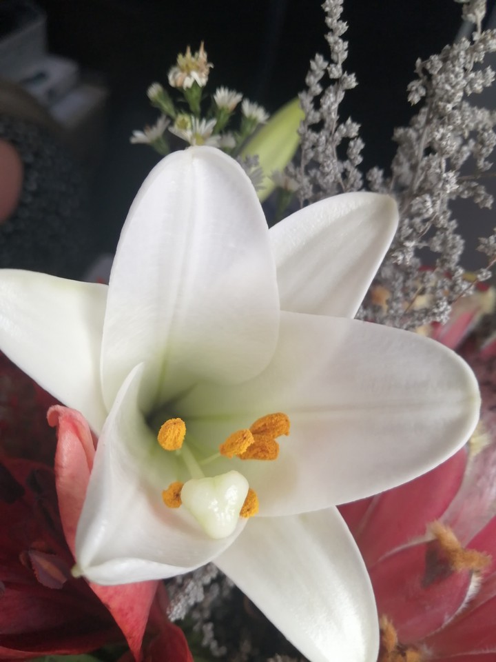Flower