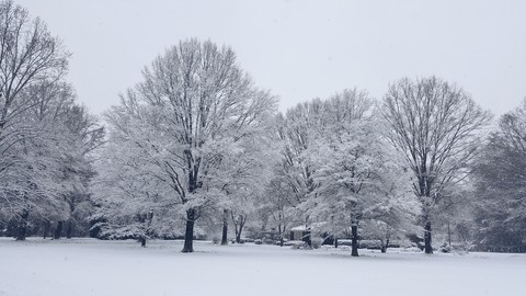 Winter Wonderland