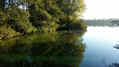 Am See in Holland
