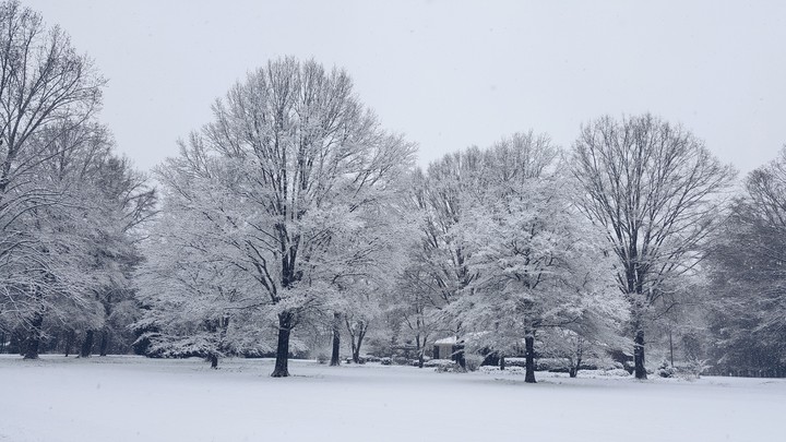 Winter Wonderland