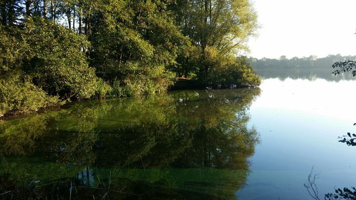 Am See in Holland