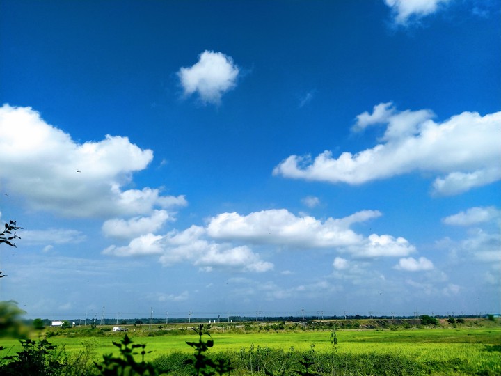 blue sky