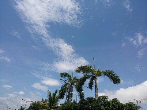 sfondi sky, daytime