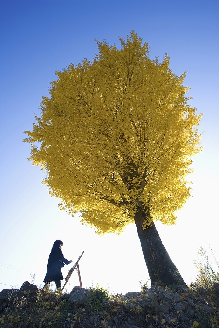Tree girl