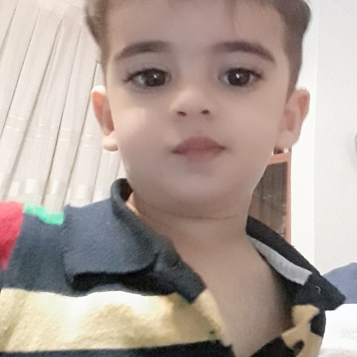 amir