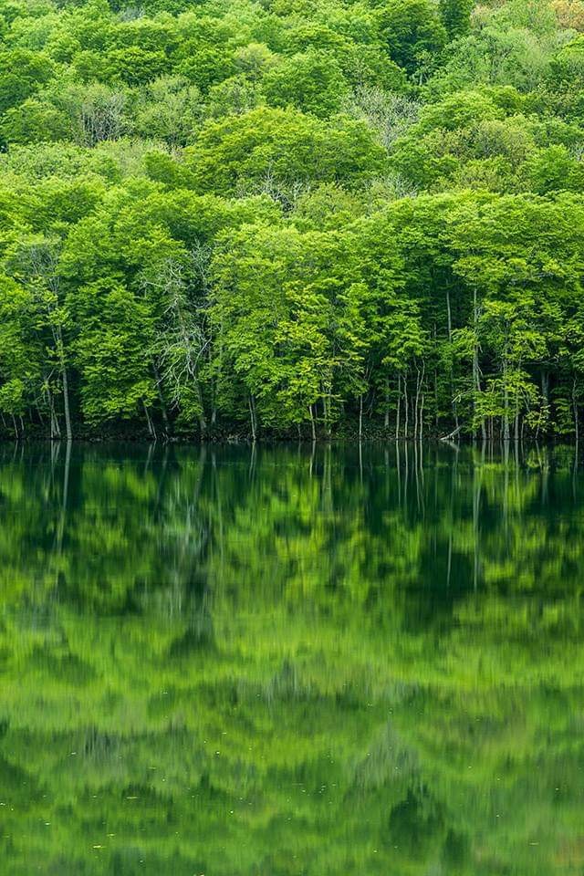 湖