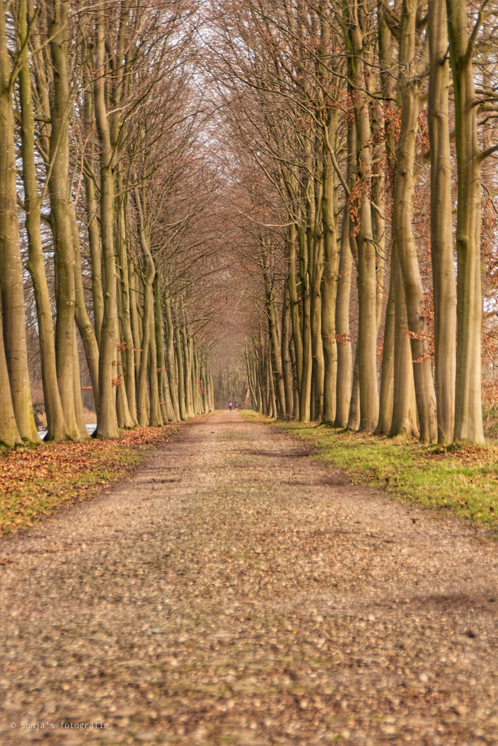 path