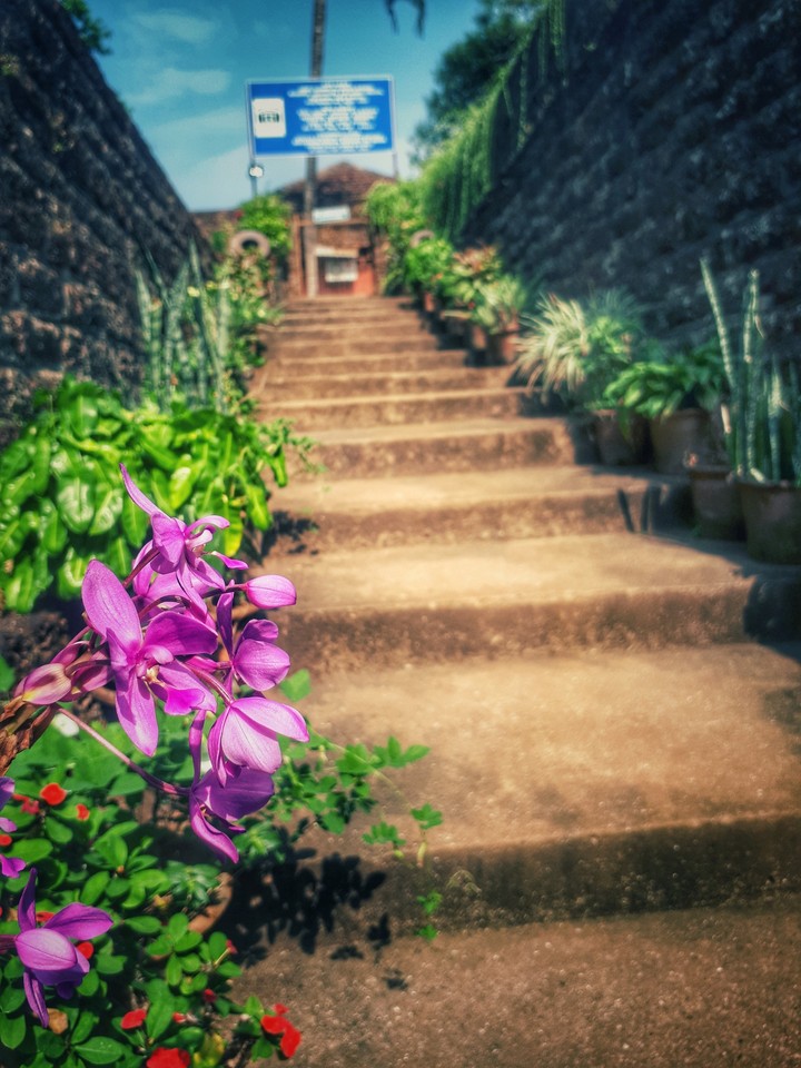 steps