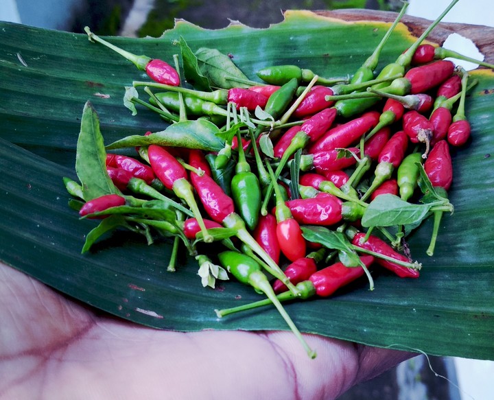 Kerala Special