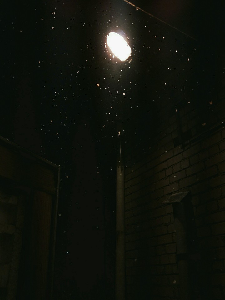 Snow...Night...