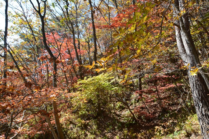 치악산이미지
