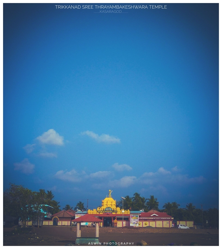 Temple Vibrance