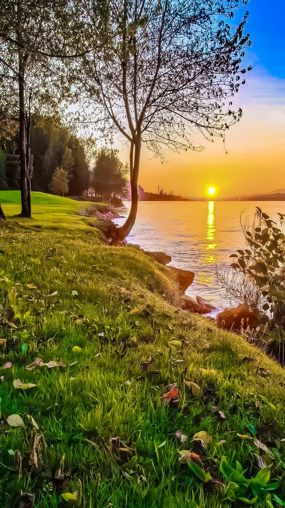 Nature
