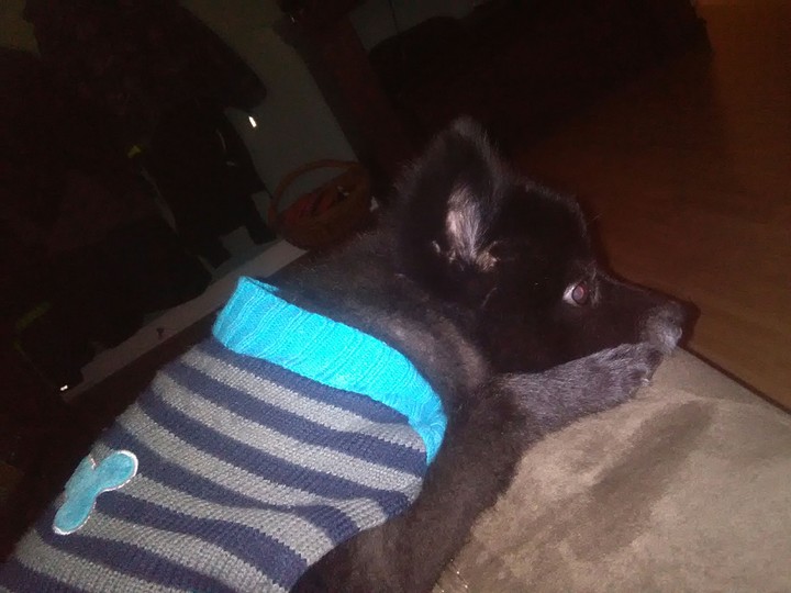 Precious in his indoor winter outfit