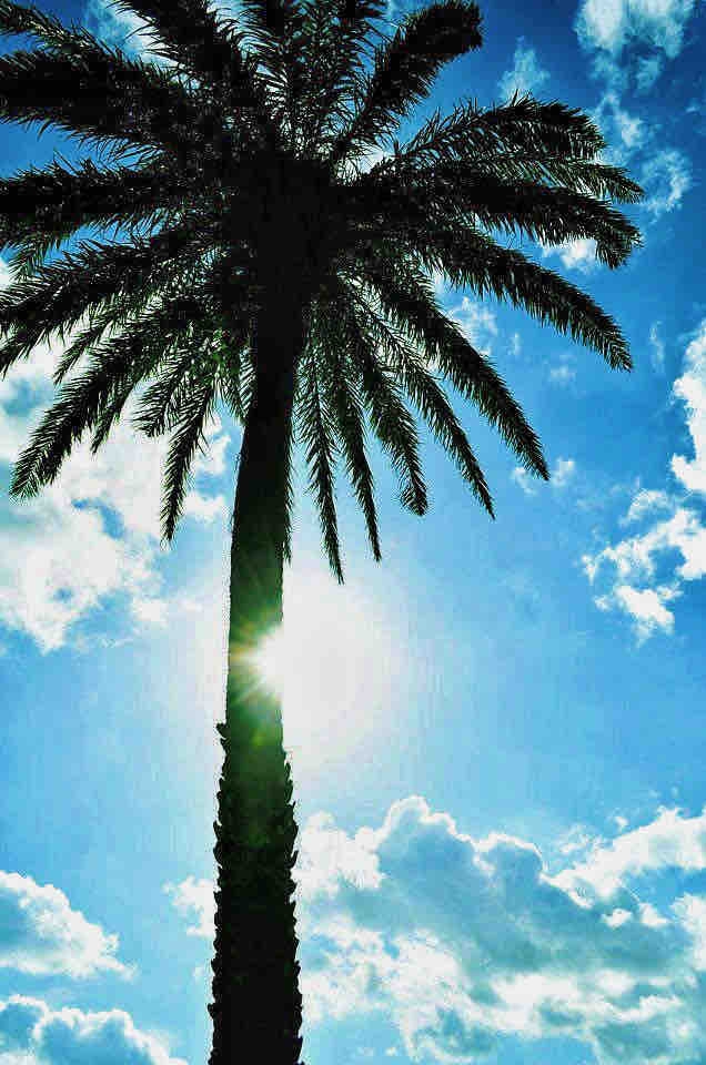 summer