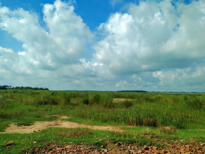 coast viewpoint