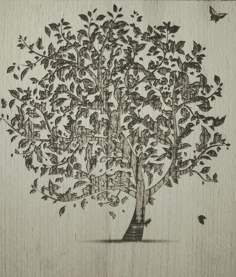 beautiful tree ?