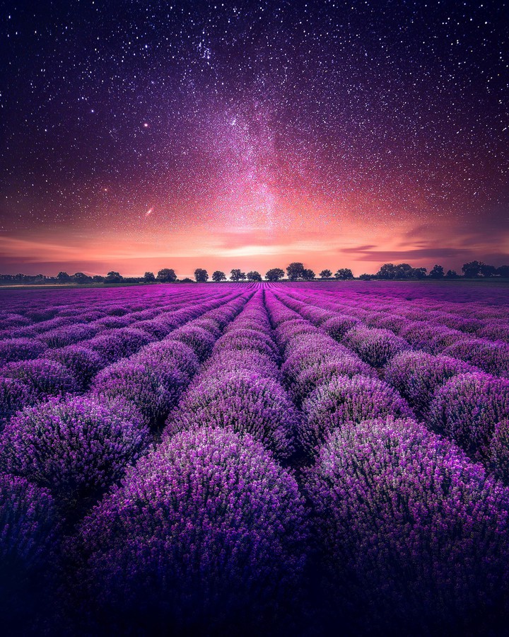 ♡