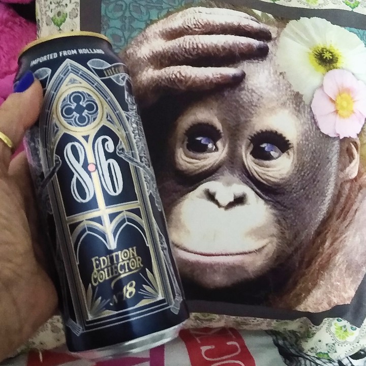 Monkey & beer