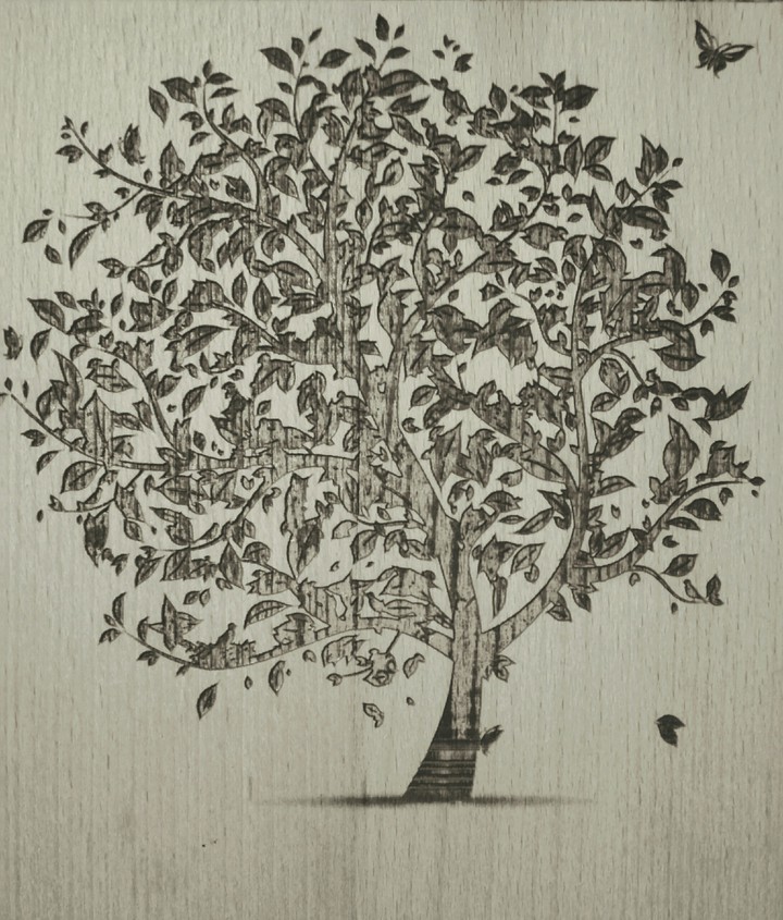 beautiful tree ?