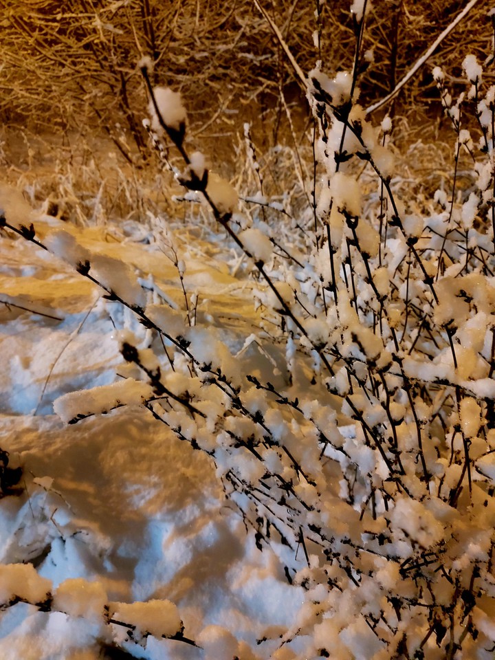 the first snow