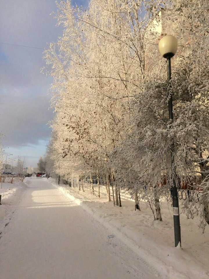 зима