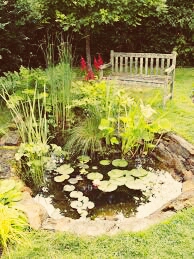 beautiful garden