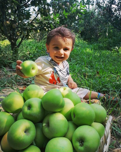 тапети food, produce
