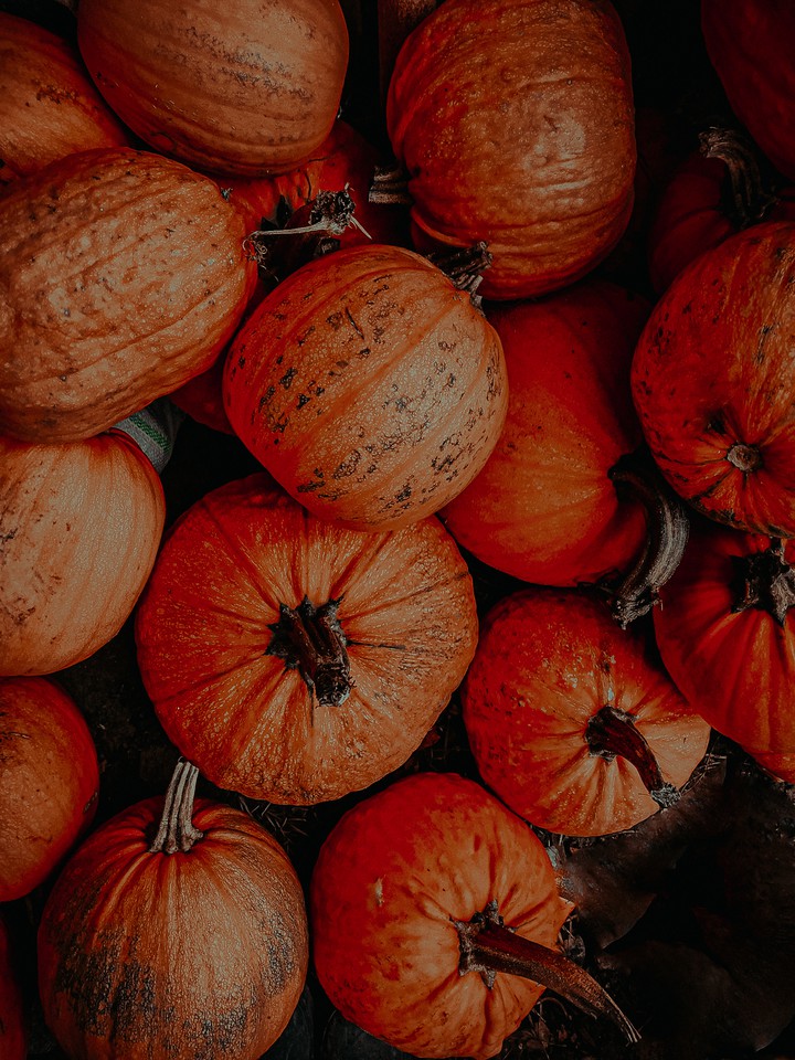 Autumn texture