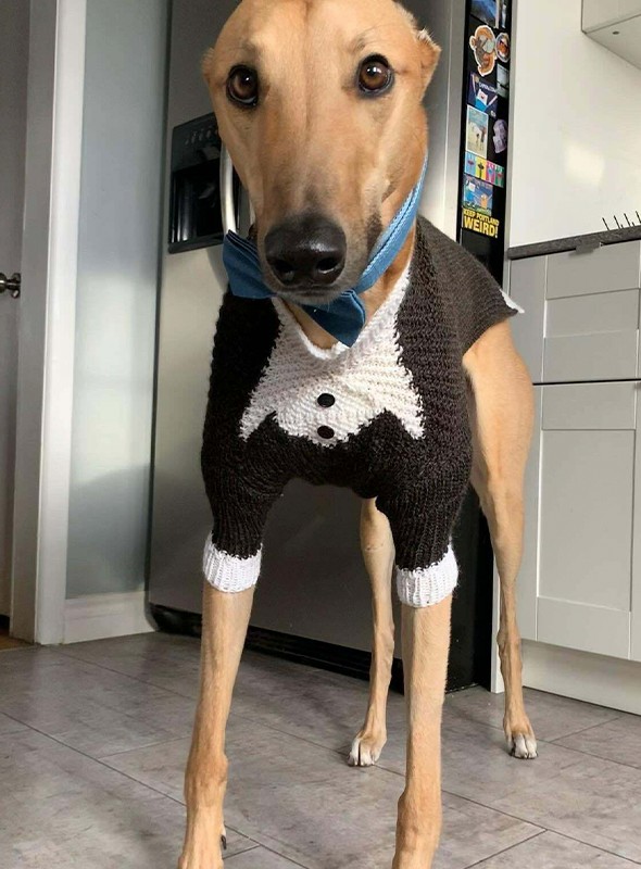 .