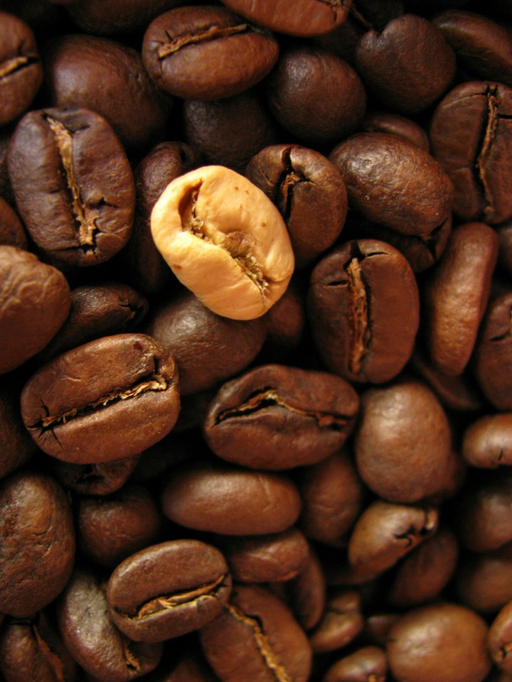 coffee