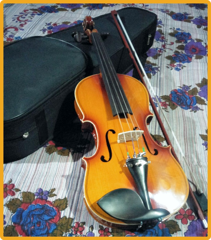 violin