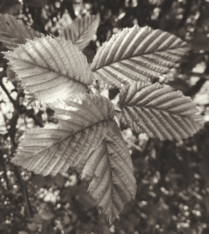 autunno