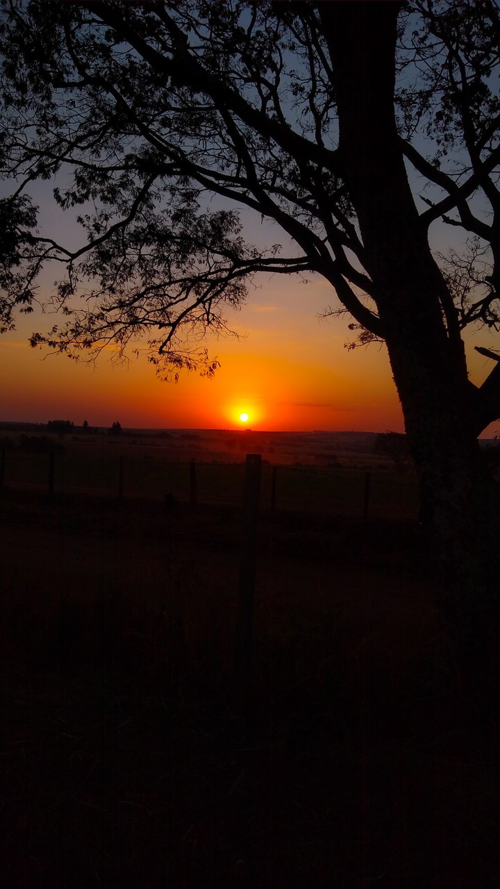 pôr do sol