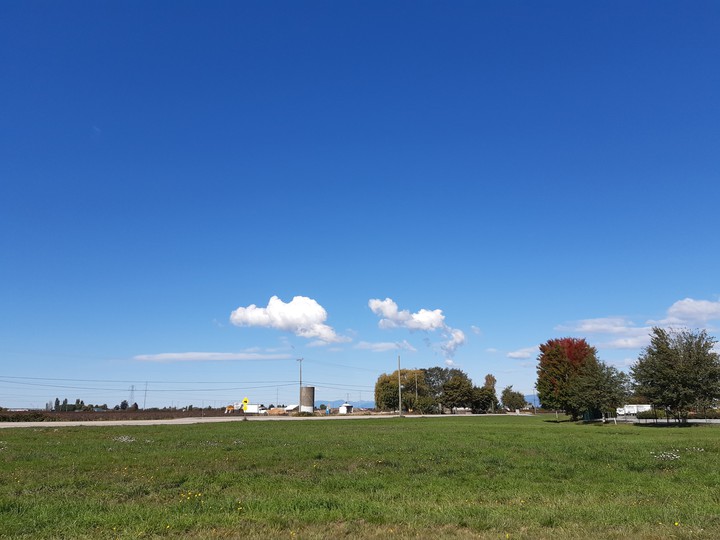 farm