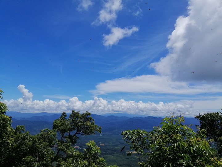 cloudy