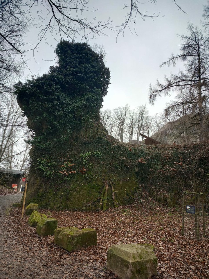 Natur pur