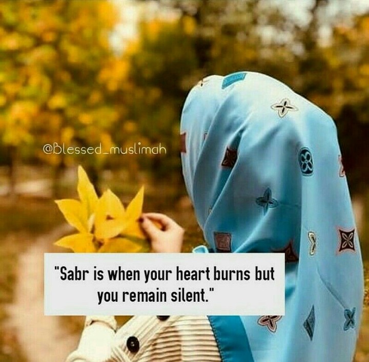 sabr