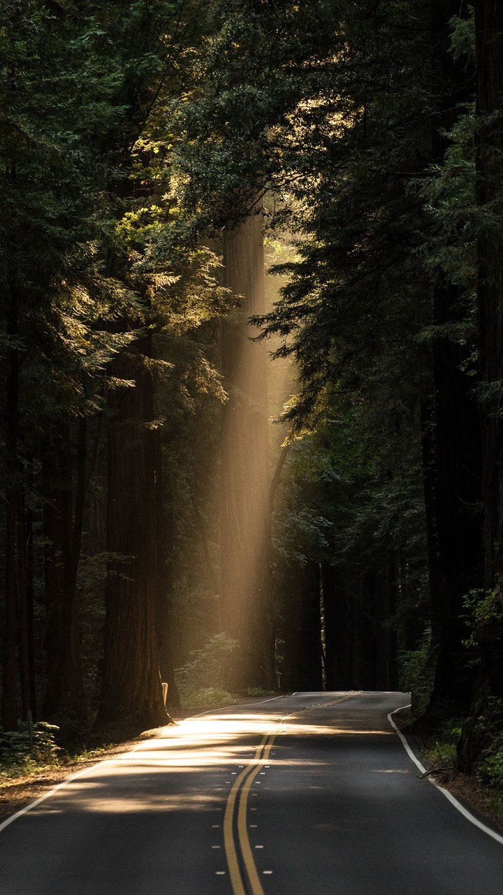 HD Wallpaper