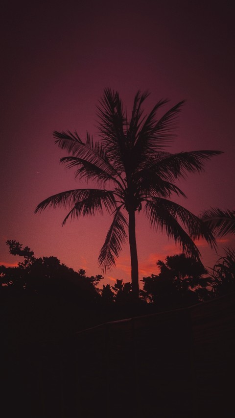 Paisagem