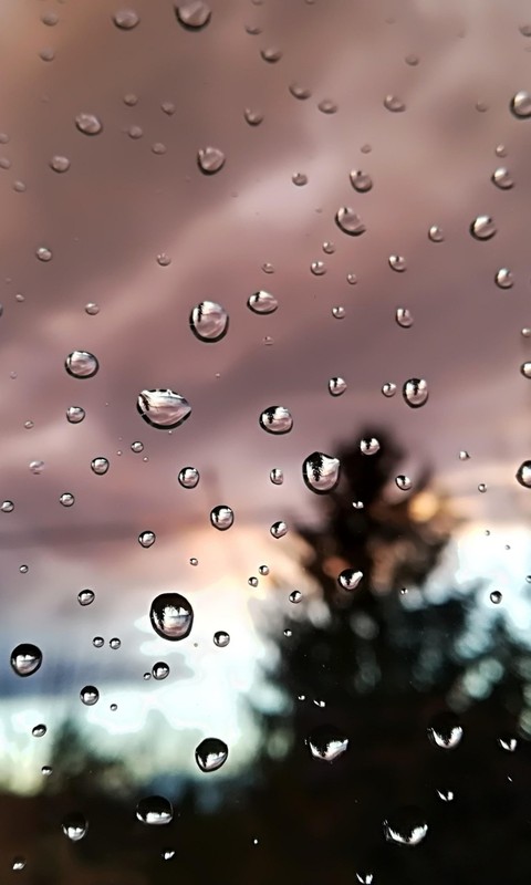rain